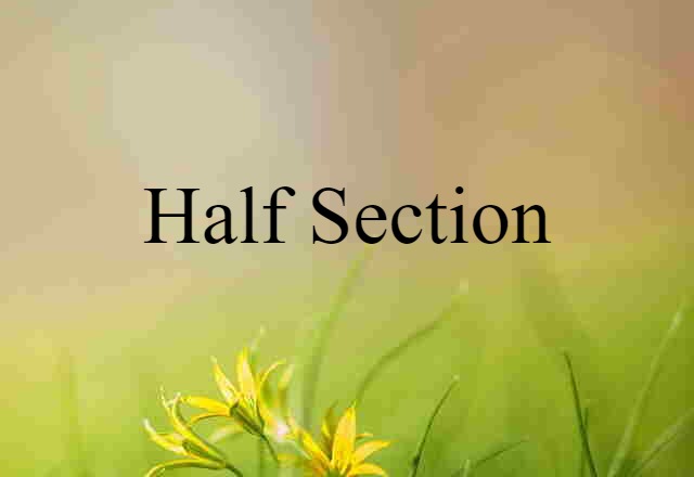 Half Section (noun) Definition, Meaning & Examples