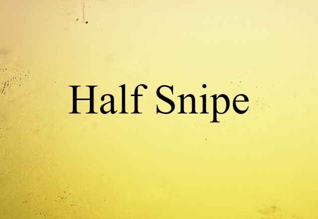 half snipe