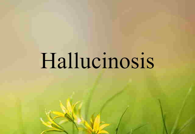 Hallucinosis (noun) Definition, Meaning & Examples