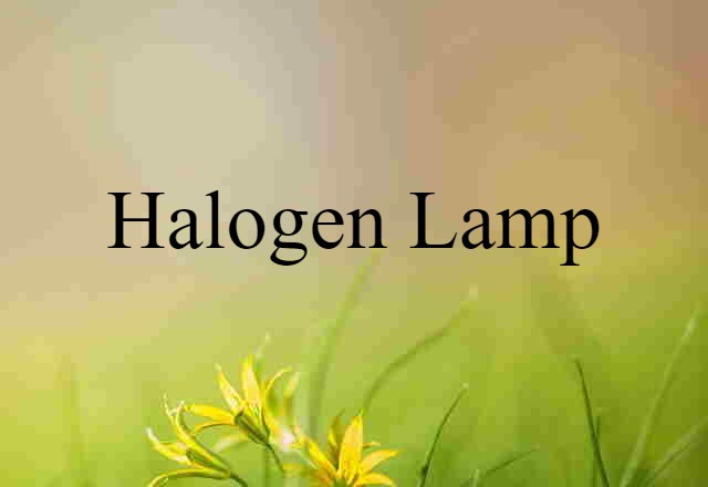 Halogen Lamp (noun) Definition, Meaning & Examples