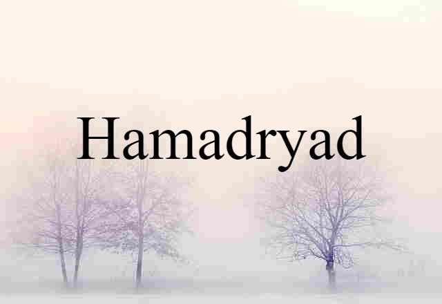 Hamadryad (noun) Definition, Meaning & Examples