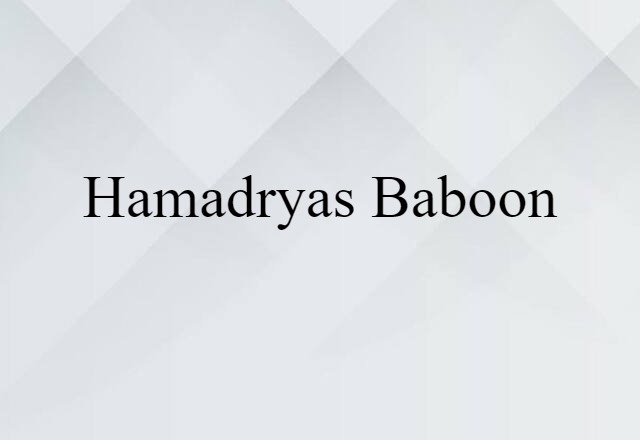 Hamadryas Baboon (noun) Definition, Meaning & Examples