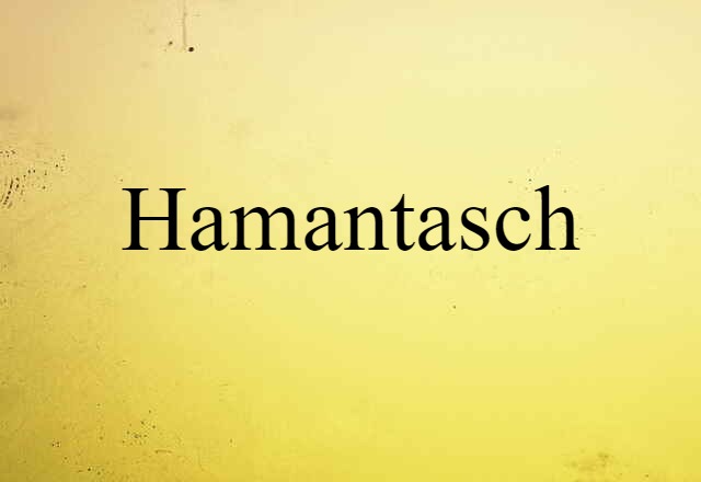 Hamantasch (noun) Definition, Meaning & Examples