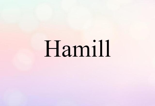 Hamill (noun) Definition, Meaning & Examples