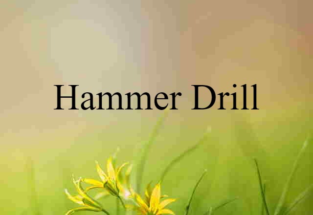 hammer drill