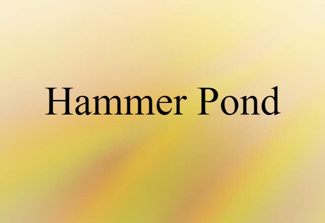 Hammer Pond (noun) Definition, Meaning & Examples