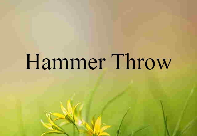 Hammer Throw (noun) Definition, Meaning & Examples