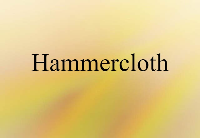 Hammercloth (noun) Definition, Meaning & Examples