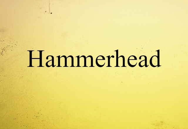 Hammerhead (noun) Definition, Meaning & Examples