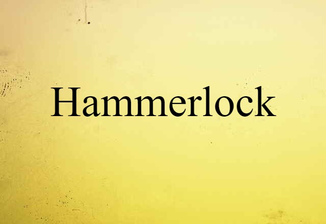 Hammerlock (noun) Definition, Meaning & Examples