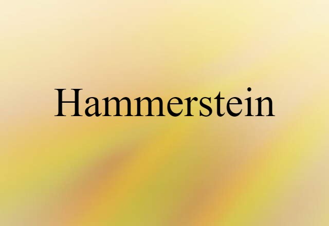 Hammerstein (noun) Definition, Meaning & Examples