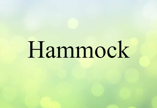 hammock