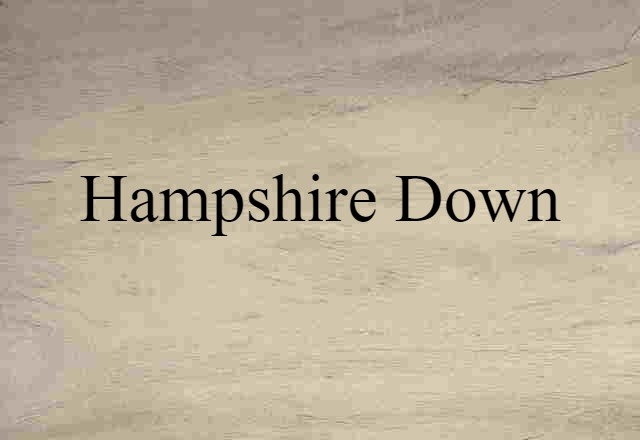 Hampshire Down (noun) Definition, Meaning & Examples