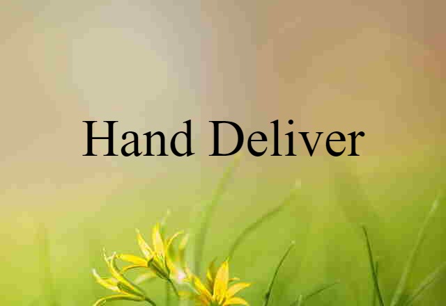 Hand Deliver (noun) Definition, Meaning & Examples