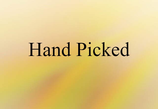 Hand-picked (noun) Definition, Meaning & Examples