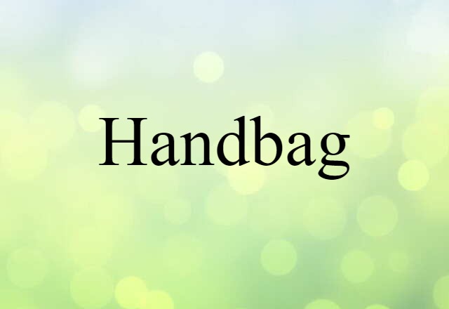 Handbag (noun) Definition, Meaning & Examples