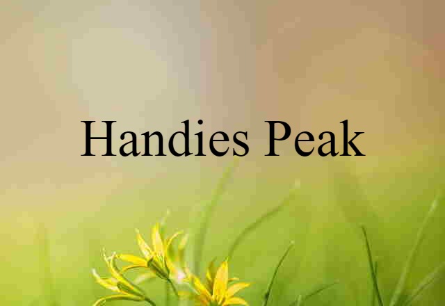 Handies Peak (noun) Definition, Meaning & Examples