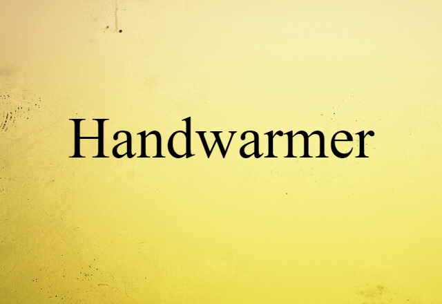 Handwarmer (noun) Definition, Meaning & Examples