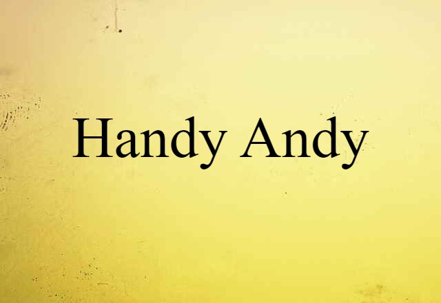 handy andy