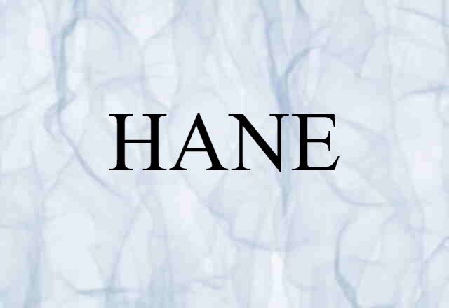 HANE (noun) Definition, Meaning & Examples