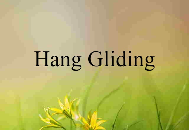 Hang Gliding (noun) Definition, Meaning & Examples