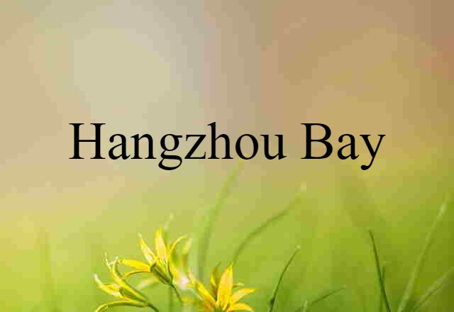 Hangzhou Bay (noun) Definition, Meaning & Examples