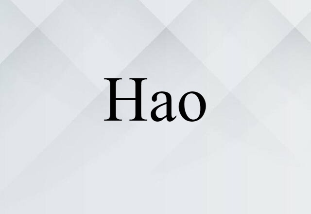 Hao (noun) Definition, Meaning & Examples