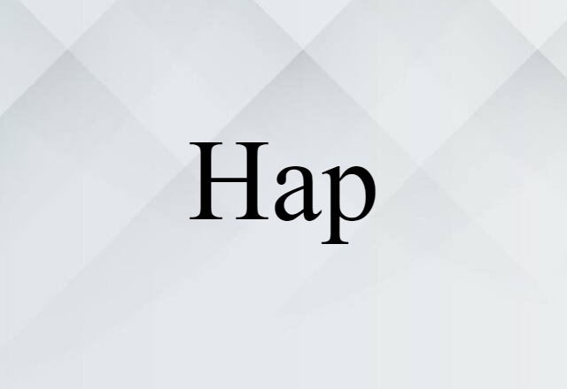 Hap (noun) Definition, Meaning & Examples