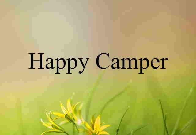 Happy Camper (noun) Definition, Meaning & Examples