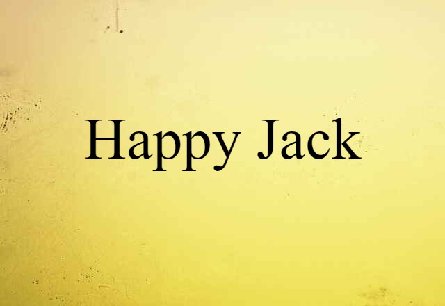 Happy Jack (noun) Definition, Meaning & Examples