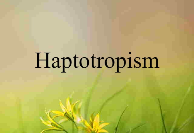 Haptotropism (noun) Definition, Meaning & Examples