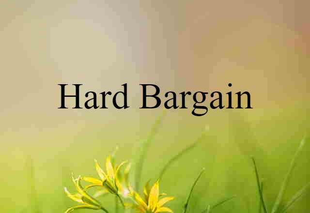 Hard Bargain (noun) Definition, Meaning & Examples