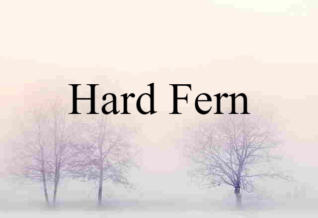 Hard Fern (noun) Definition, Meaning & Examples