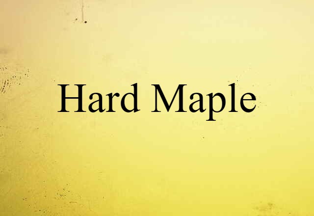 Hard Maple (noun) Definition, Meaning & Examples