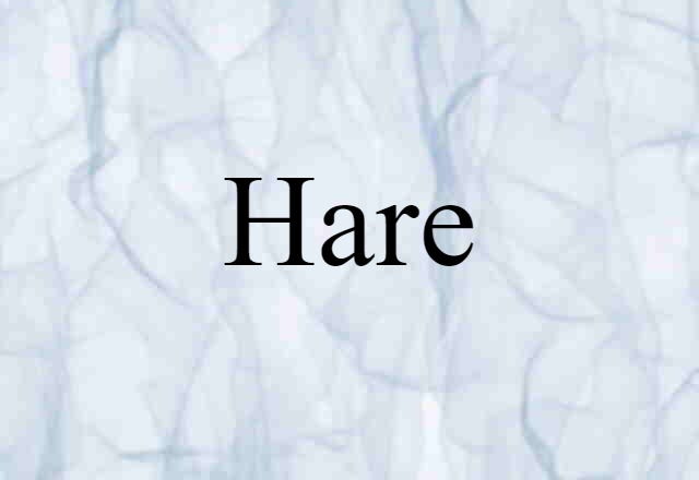 Hare (noun) Definition, Meaning & Examples