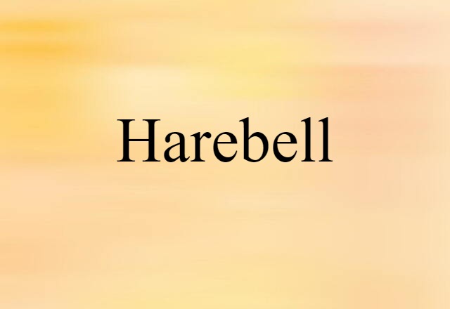 Harebell (noun) Definition, Meaning & Examples