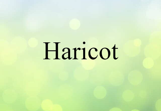 haricot