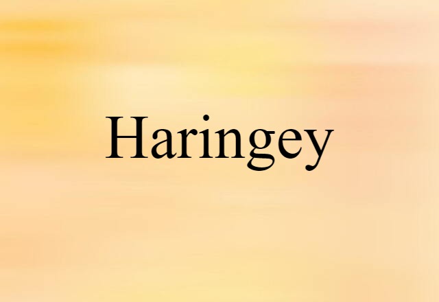 Haringey (noun) Definition, Meaning & Examples