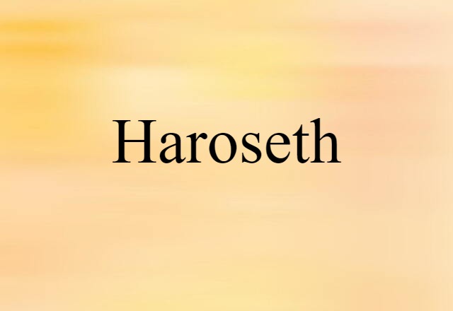 Haroseth (noun) Definition, Meaning & Examples