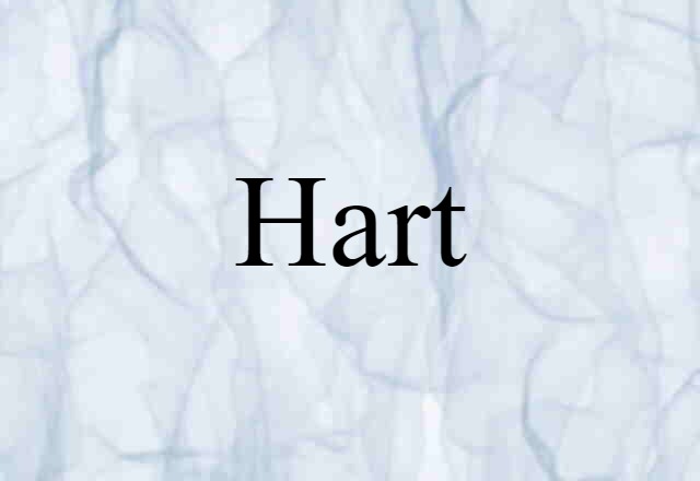 hart