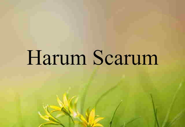 Harum-scarum (noun) Definition, Meaning & Examples