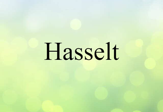 Hasselt (noun) Definition, Meaning & Examples