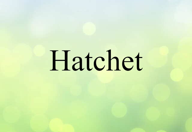 Hatchet (noun) Definition, Meaning & Examples