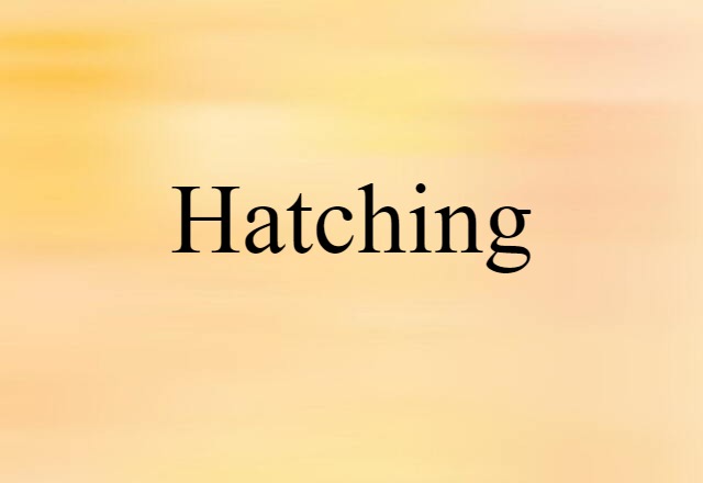 Hatching (noun) Definition, Meaning & Examples