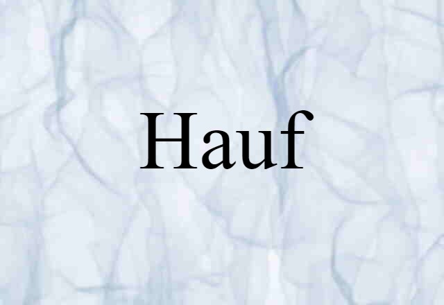 Hauf (noun) Definition, Meaning & Examples