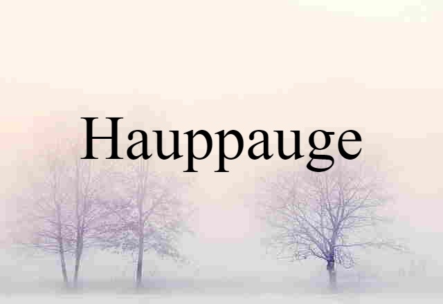 Hauppauge (noun) Definition, Meaning & Examples