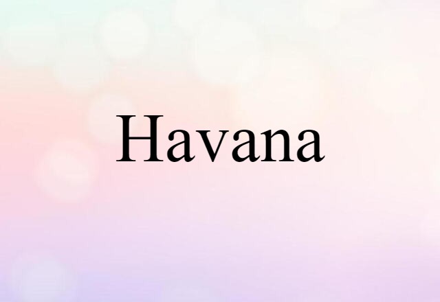 Havana (noun) Definition, Meaning & Examples