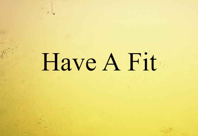 Have A Fit (noun) Definition, Meaning & Examples