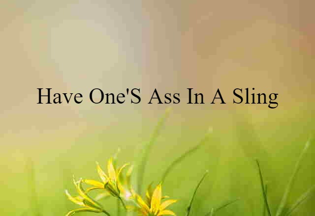 Have One's Ass In A Sling (noun) Definition, Meaning & Examples