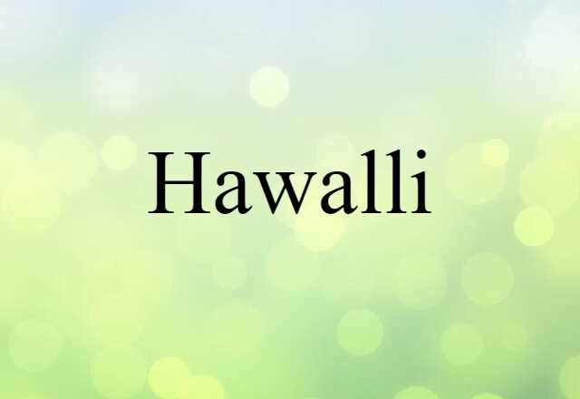 Hawalli (noun) Definition, Meaning & Examples